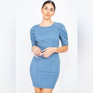 🌸AMTIOUS puff sleeve seamed dress✨